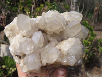 Natural Smokey Quartz Cluster x 1 From Congo - Toprock Gemstones and Minerals 