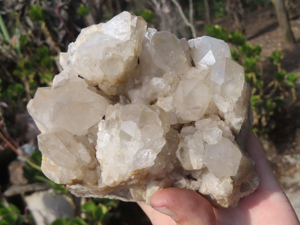 Natural Smokey Quartz Cluster x 1 From Congo - Toprock Gemstones and Minerals 