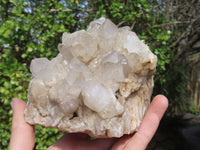 Natural Smokey Quartz Cluster x 1 From Congo - Toprock Gemstones and Minerals 