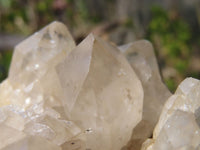 Natural Smokey Quartz Cluster x 1 From Congo - Toprock Gemstones and Minerals 