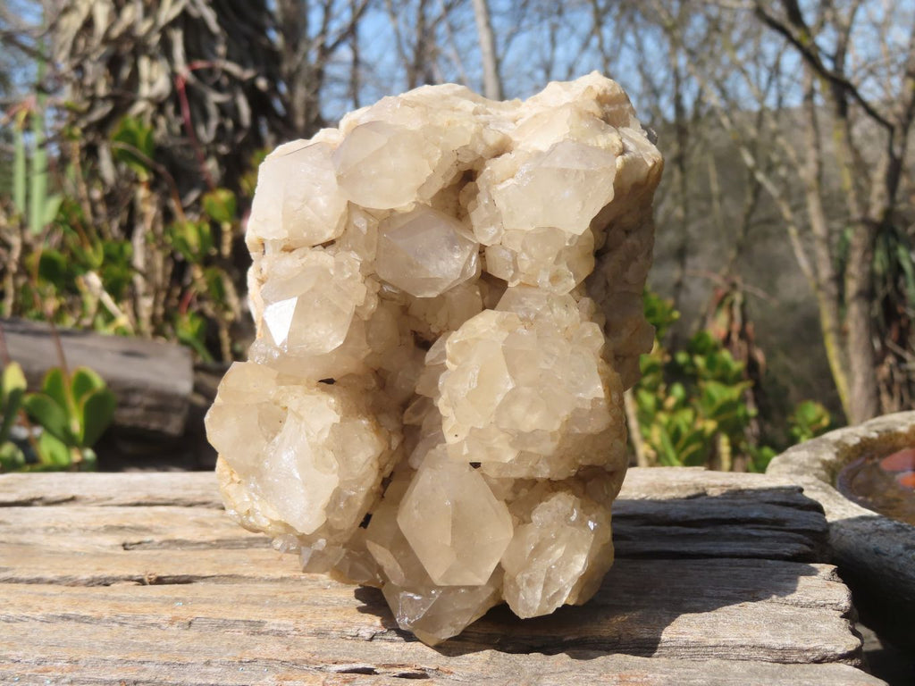 Natural Smokey Quartz Cluster x 1 From Congo - Toprock Gemstones and Minerals 