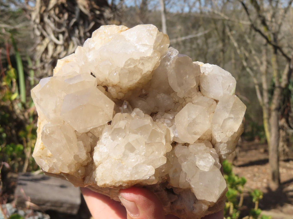 Natural Smokey Quartz Cluster x 1 From Congo - Toprock Gemstones and Minerals 