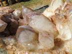 Natural Giant Phantom Hematoid Karoi Quartz Cluster x 1 From Karoi, Zimbabwe - Toprock Gemstones and Minerals 