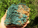 Natural Rare Ball Malachite On Drusy Quartz & Dolomite Matrix  x 1 From Congo - Toprock Gemstones and Minerals 