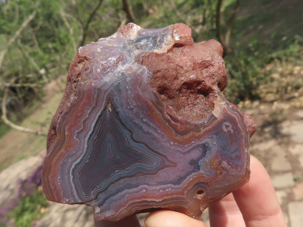 Polished One Sided  Polished Red Sashe River Agate Nodules  x 6 From Sashe River, Zimbabwe
