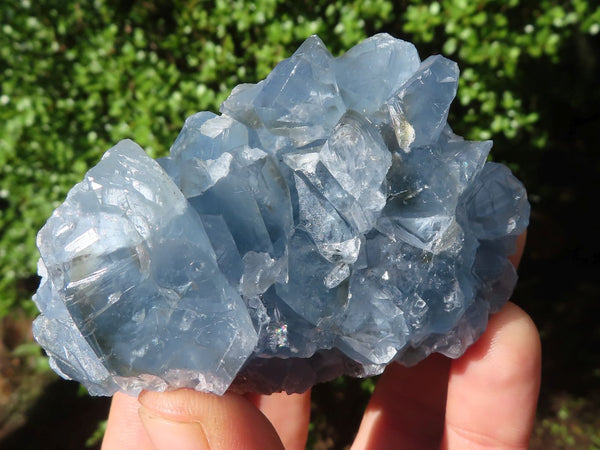 Natural Blue Celestite Crystal Specimens  x 5 From Madagascar