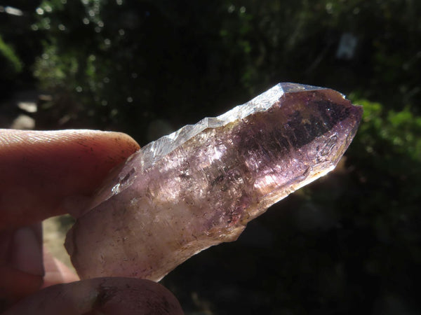 Natural Single Smokey Amethyst Window Quartz Crystals x 12 From Chiredzi, Zimbabwe - TopRock