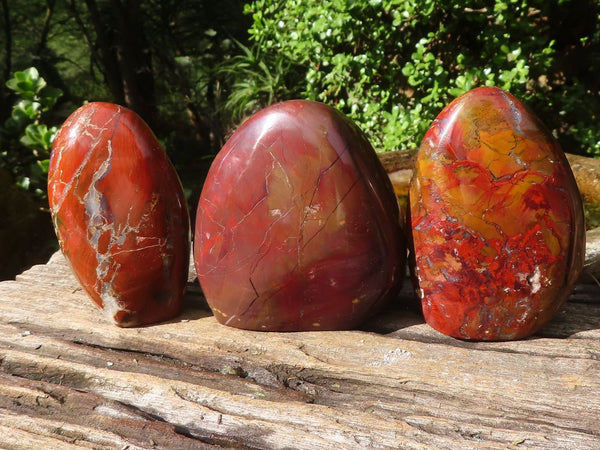Polished Red Jasper Standing Free Forms  x 3 From Madagascar - Toprock Gemstones and Minerals 