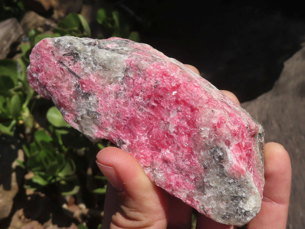 Natural Rosey Red Rhodonite Rough Specimens  x 8 From Zimbabwe - TopRock