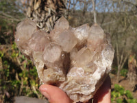 Natural Smokey Phantom Quartz Clusters x 5 From Luena, Congo - Toprock Gemstones and Minerals 