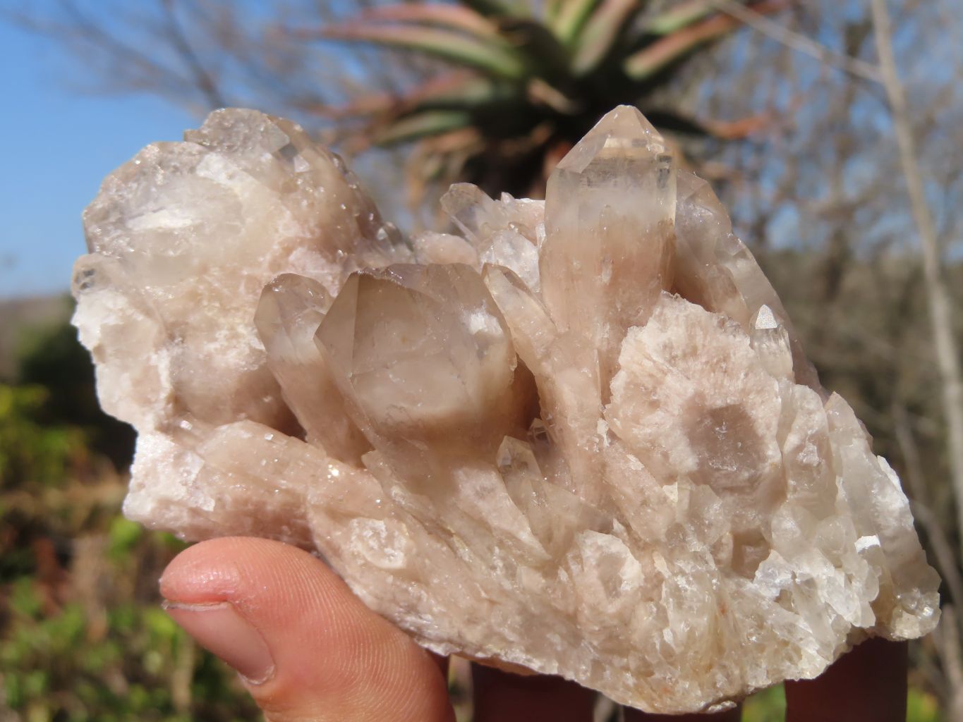 Natural Smokey Phantom Quartz Clusters x 5 From Luena, Congo - Toprock Gemstones and Minerals 