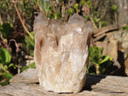 Natural Smokey Phantom Quartz Clusters x 5 From Luena, Congo - Toprock Gemstones and Minerals 
