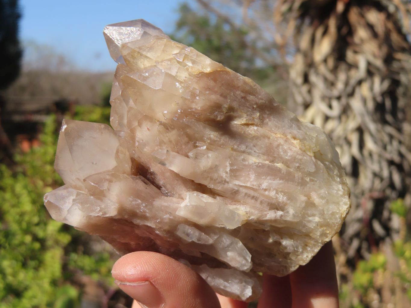 Natural Smokey Phantom Quartz Clusters x 5 From Luena, Congo - Toprock Gemstones and Minerals 