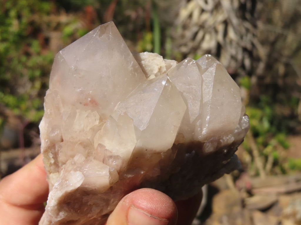 Natural Smokey Phantom Quartz Clusters x 5 From Luena, Congo - Toprock Gemstones and Minerals 