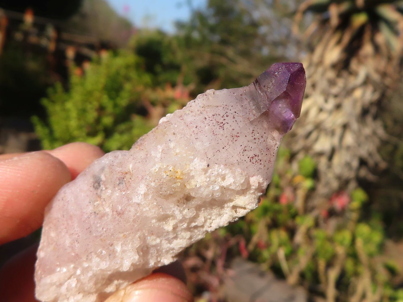 Natural Smokey / Window Amethyst Crystals  x 12 From Chiredzi, Zimbabwe - Toprock Gemstones and Minerals 