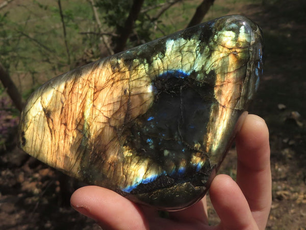 Polished Gorgeous Blue & Gold Labradorite Standing Free Forms  x 2 From Tulear, Madagascar