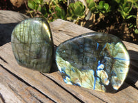 Polished Labradorite Standing Free Forms  x 3 From Tulear, Madagascar - Toprock Gemstones and Minerals 