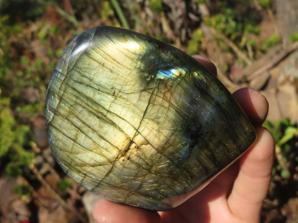Polished Labradorite Standing Free Forms  x 3 From Tulear, Madagascar - Toprock Gemstones and Minerals 