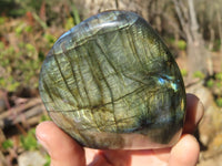 Polished Labradorite Standing Free Forms  x 3 From Tulear, Madagascar - Toprock Gemstones and Minerals 