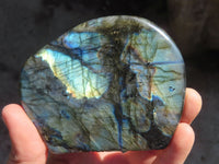 Polished Labradorite Standing Free Forms  x 3 From Tulear, Madagascar - Toprock Gemstones and Minerals 
