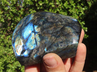 Polished Labradorite Standing Free Forms  x 3 From Tulear, Madagascar - Toprock Gemstones and Minerals 
