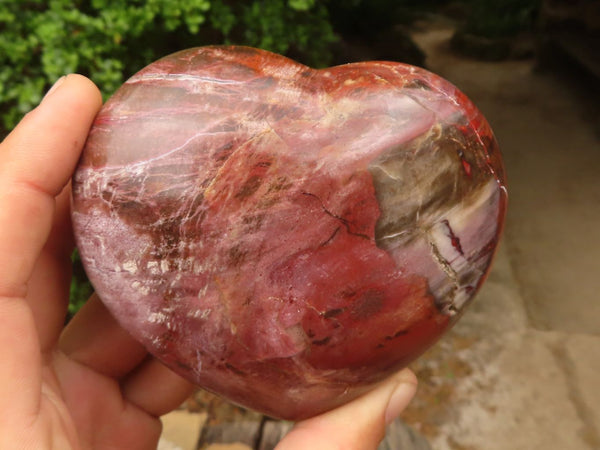 Polished Petrified Red Podocarpus Wood Hearts  x 2 From Madagascar - TopRock