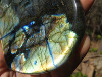 Polished Labradorite Standing Free Forms  x 3 From Tulear, Madagascar - Toprock Gemstones and Minerals 