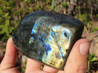Polished Labradorite Standing Free Forms  x 3 From Tulear, Madagascar - Toprock Gemstones and Minerals 