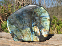 Polished Labradorite Standing Free Forms  x 3 From Tulear, Madagascar - Toprock Gemstones and Minerals 