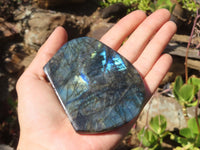 Polished Labradorite Standing Free Forms  x 3 From Tulear, Madagascar - Toprock Gemstones and Minerals 
