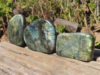 Polished Labradorite Standing Free Forms  x 3 From Tulear, Madagascar - Toprock Gemstones and Minerals 