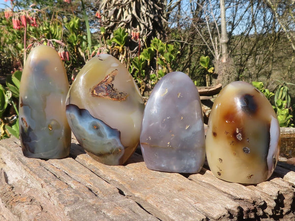 Polished Dendritic Agate Standing Free Forms  x 4 From Madagascar - Toprock Gemstones and Minerals 