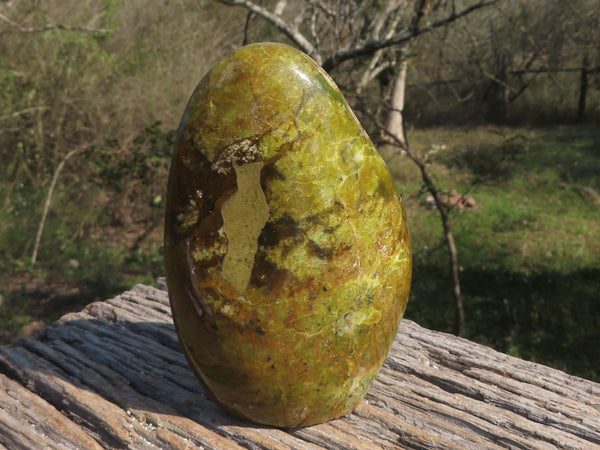 Polished Stunning Green Opal Standing Free Form x 1 From Antsirabe, Madagascar - TopRock
