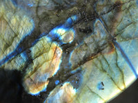 Polished Labradorite Standing Free Forms  x 3 From Tulear, Madagascar - Toprock Gemstones and Minerals 