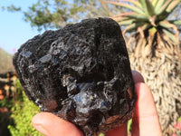 Natural Schorl Black Tourmaline Specimens x 2 From Erongo, Namibia