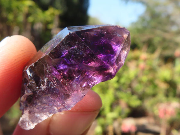 Natural Mini Smokey Amethyst Crystals  x 70 From Chiredzi, Zimbabwe - Toprock Gemstones and Minerals 