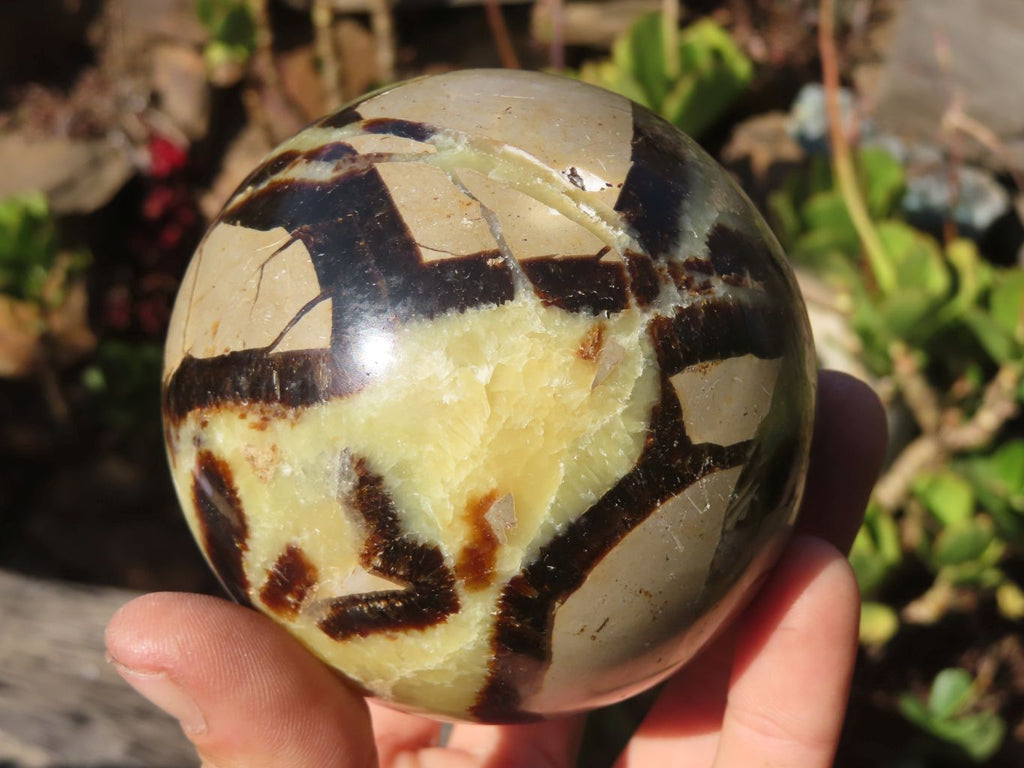Polished Septaria (Calcite & Aragonite) Spheres  x 2 From Madagascar - Toprock Gemstones and Minerals 