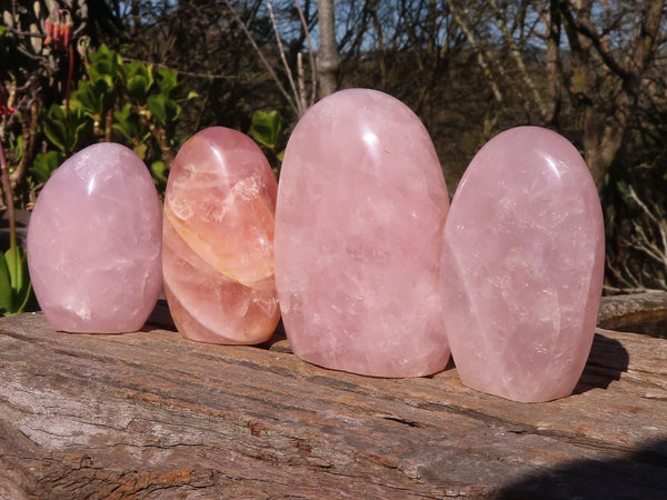 Polished Gemmy Pink Rose Quartz Standing Free Forms x 4 From Madagascar - Toprock Gemstones and Minerals 