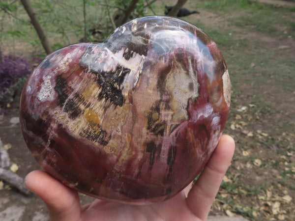 Polished Petrified Red Podocarpus Wood Hearts  x 2 From Mahajanga, Madagascar