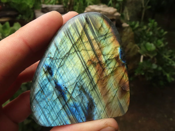 Polished Labradorite Standing Free Forms  x 12 From Tulear, Madagascar - TopRock