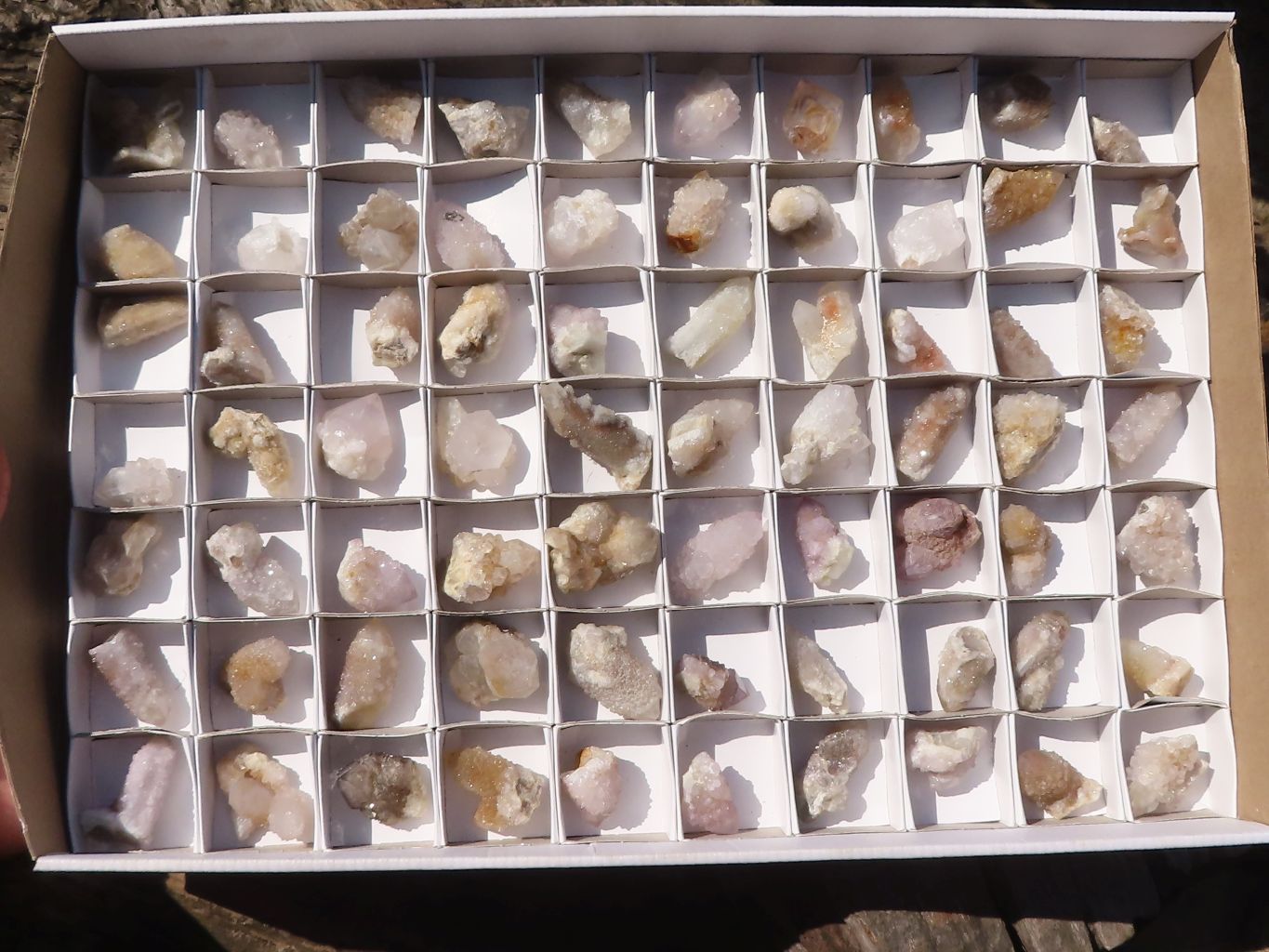 Natural Mixed Spirit Quartz Crystals x 70 From Boekenhouthoek, South Africa - Toprock Gemstones and Minerals 