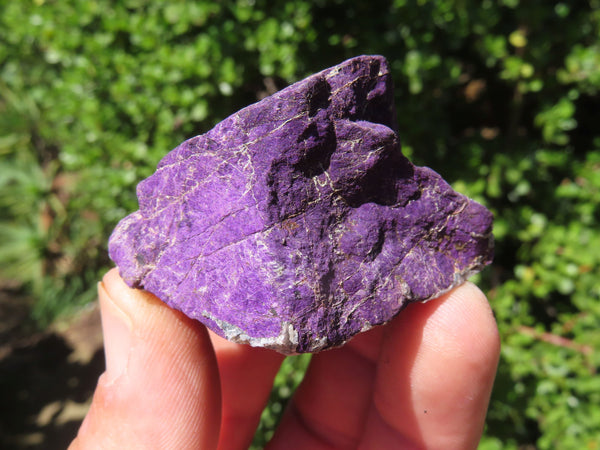 Natural Metallic Purple Purpurite Specimens x 6 From Erongo, Namibia - TopRock