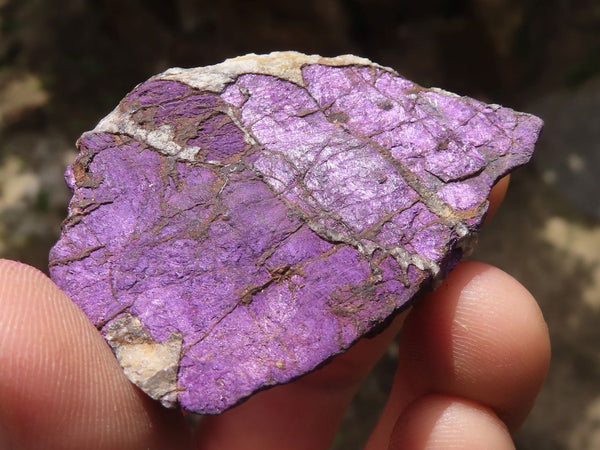 Natural Highly Selected Purpurite Cobbed Specimens  x 12 From Namibia - TopRock