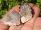 Natural Mixed Spirit Quartz Crystals x 70 From Boekenhouthoek, South Africa - Toprock Gemstones and Minerals 