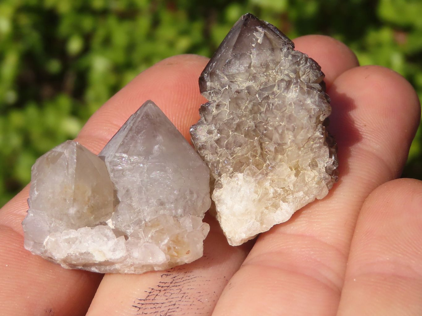 Natural Mixed Spirit Quartz Crystals x 70 From Boekenhouthoek, South Africa - Toprock Gemstones and Minerals 