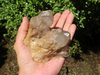 Natural Cascading White Phantom Quartz Clusters  x 2 From Luena, Congo - Toprock Gemstones and Minerals 
