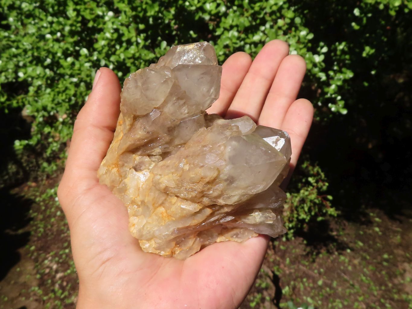 Natural Cascading White Phantom Quartz Clusters  x 2 From Luena, Congo - Toprock Gemstones and Minerals 