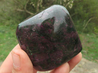 Polished Fluorescent Ruby Corundum In Chrome Verdite Free Forms x 5 From Zimbabwe - TopRock