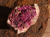 Natural Pink Salrose Cobaltion Dolomite Specimens  x 6 From Kakanda, Congo - Toprock Gemstones and Minerals 