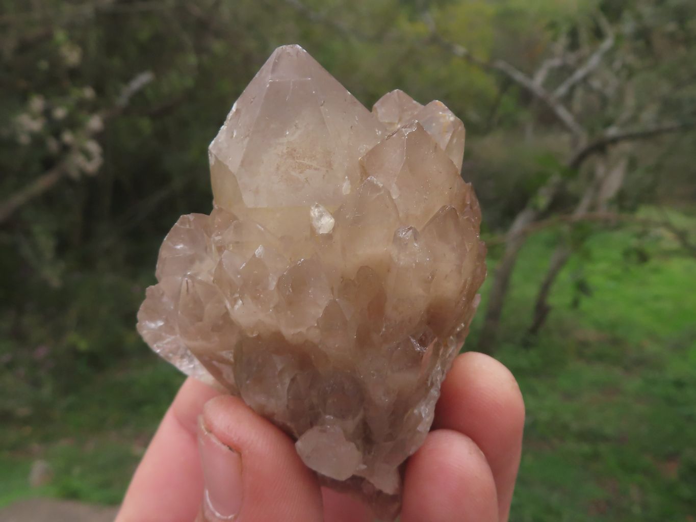 Natural Smokey Quartz Clusters & Crystals  x 20 From Luena, Congo - TopRock